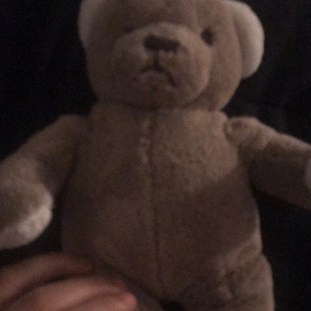 Stuffed bear